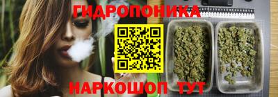 mdma Новодвинск