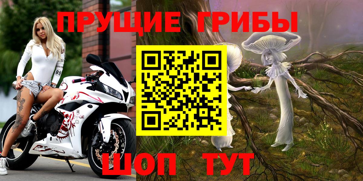 Тавда  Галлюциногенные грибы Psilocybe  Вход с VPN 